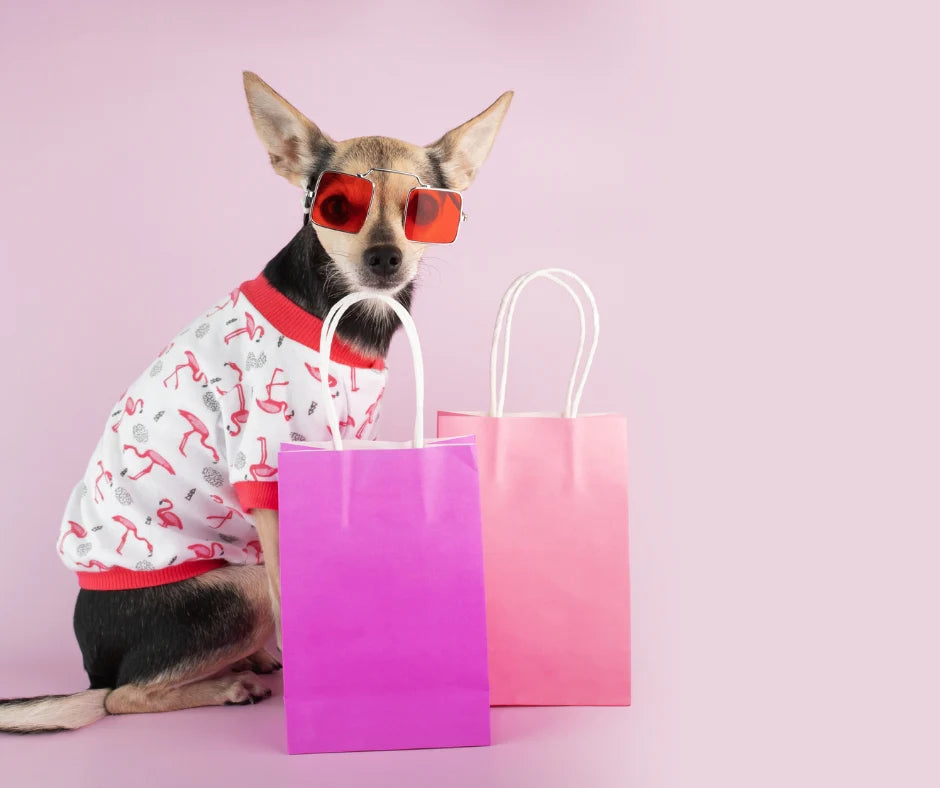 Pets & Toys